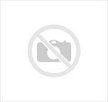 CURIOSITY LAYER 1 NEGRO BR - 